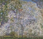Childe Hassam Spring,The Dogwood Tree painting